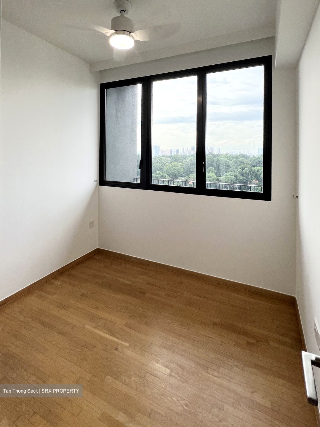 Park Colonial (D13), Condominium #556147661